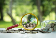 Transparency on investment