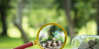 Transparency on investment