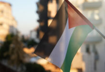 The Post-Gaza Rebalancing in the Middle East Flag of Palastain