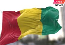 Simandou - Guinea National flag