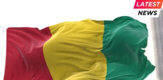 Simandou - Guinea National flag