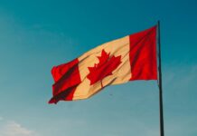 The Power of Fractional CFO Services in Canada: Strategic Finance for Growing Businesses CFO Services in Canada