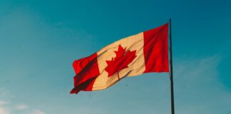 CFO Services in Canada