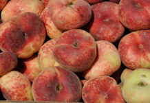 Imported Fruits and Food
