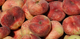Imported Fruits and Food