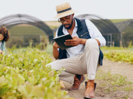 Technology Transfer to Africa: Matching Ambition with Absorbable Innovation