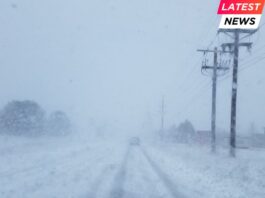 Extreme Winter Storm Grips US as Experts Link Cold to Climate Change