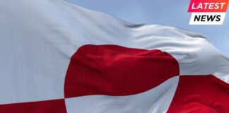 Trump - flag of Greenland