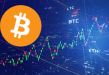 GameStop, Tesla, and the Companies Rethinking Their Bitcoin Bets Bitcoin cryptocurrency global