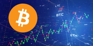Bitcoin cryptocurrency global