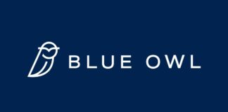 Blue Owl