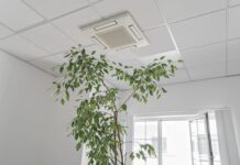 The Invisible Side Of Interior Design: Air Quality indoor air quality