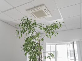 The Invisible Side Of Interior Design: Air Quality indoor air quality