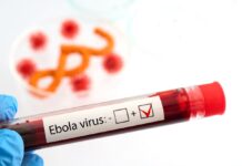 Ebola Crisis