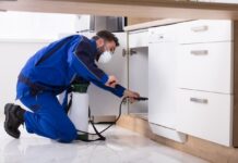 Why Pest Problems Are Becoming a Risk Management Issue for Property Investors Pest Control - Spraying Pesticide