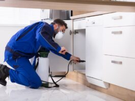 Why Pest Problems Are Becoming a Risk Management Issue for Property Investors Pest Control - Spraying Pesticide