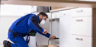 Pest Control - Spraying Pesticide