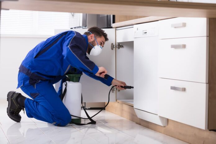 Pest Control - Spraying Pesticide