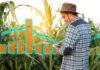 Prediction Markets - farmer man analyzing