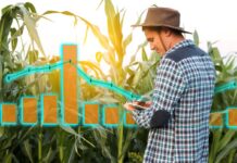 The Audience Wanted In: How Prediction Markets Are Giving Non-Farmers a Stake in Agriculture Prediction Markets - farmer man analyzing