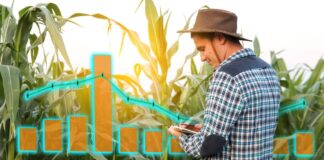 Prediction Markets - farmer man analyzing
