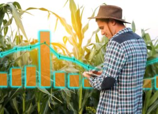 The Audience Wanted In: How Prediction Markets Are Giving Non-Farmers a Stake in Agriculture Prediction Markets - farmer man analyzing