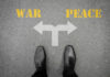 War and Peace from a Business Perspective