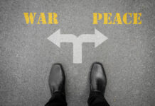 War and Peace from a Business Perspective