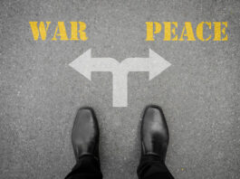War and Peace from a Business Perspective