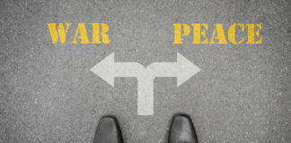 War and Peace from a Business Perspective