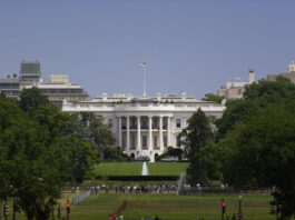 Autocratizing Democracies: A War Just For Power (Part 3 of 3)