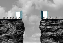 Leading in a Liminal World: Optionality, Partnerships and New Capability Leading in a Liminal World