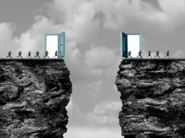 Leading in a Liminal World: Optionality, Partnerships and New Capability Leading in a Liminal World
