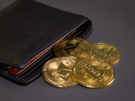 Why Wallet Compatibility Matters Before Acquiring Digital Currency digital currency wallet