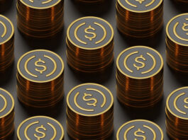 Stablecoins in corporate treasury: What CFOs should know about B2B crypto payments B2B Crypto Payments