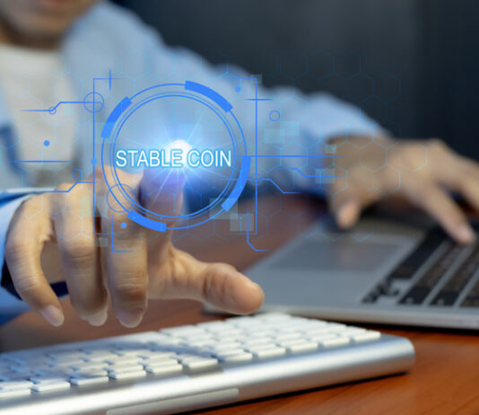 The concept of using stablecoins in the financial system