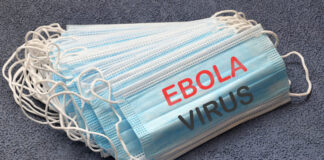 The Spreading Ebola Crisis ebola crisis